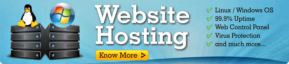 Website Hosting in India